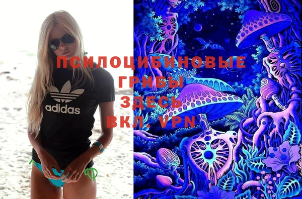 стафф Абаза
