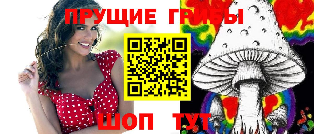 Псилоцибиновые грибы MAGIC MUSHROOMS  Вход с VPN  Благовещенск 