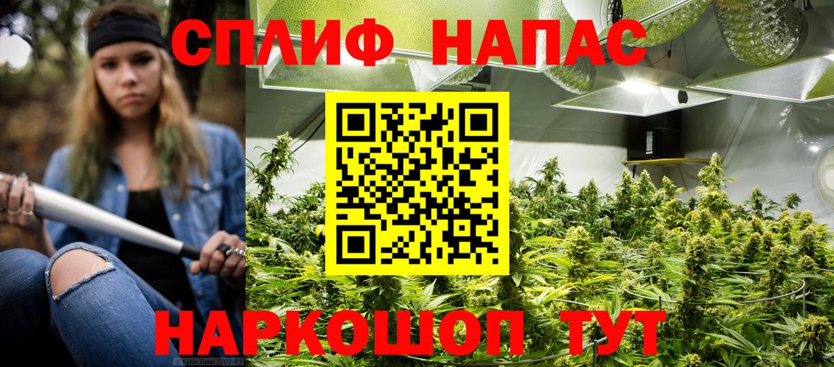 Канабис планчик Благовещенск